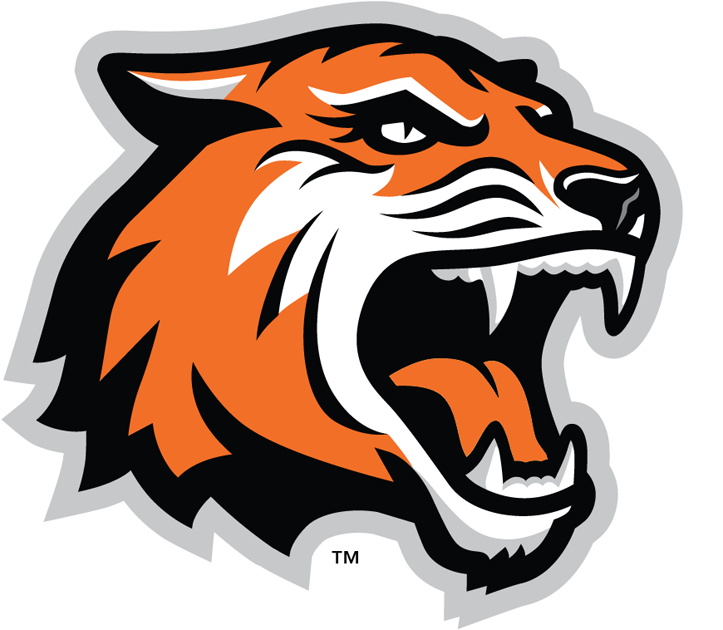 RIT Tigers 2004-Pres Alternate Logo iron on paper